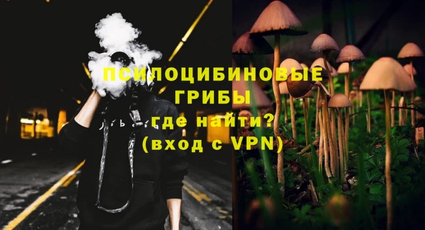 ПСИЛОЦИБИНОВЫЕ ГРИБЫ Беломорск