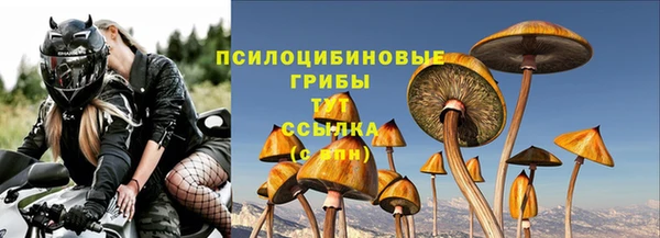 ПСИЛОЦИБИНОВЫЕ ГРИБЫ Беломорск