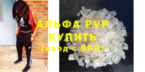 ПСИЛОЦИБИНОВЫЕ ГРИБЫ Беломорск