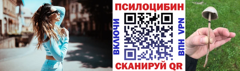 Псилоцибиновые грибы мицелий  omg как зайти  Высоцк 