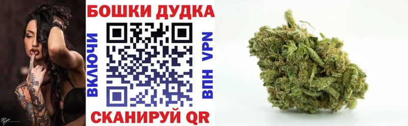 Шишки марихуана White Widow  Высоцк 